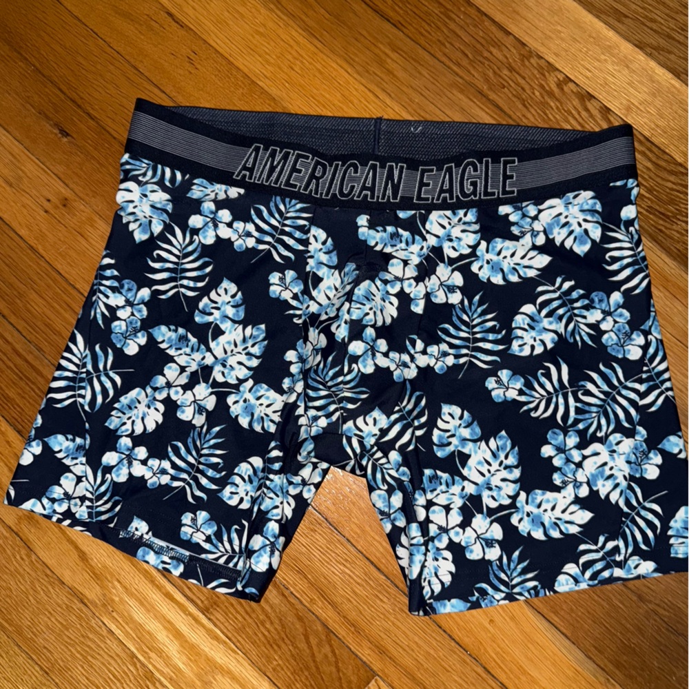 American Eagle Outfitters Blue and White Swim Trunks XL